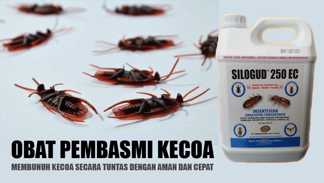 obat anti kecoa