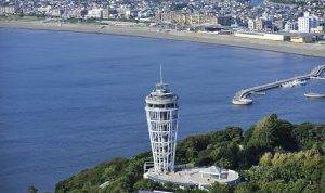 Enoshima Sea Candle